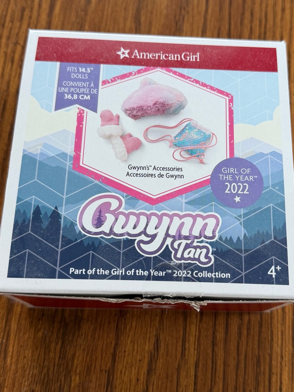 American Girl of the Year 2022 (Corinne) Gwynn Tan’s Accessories